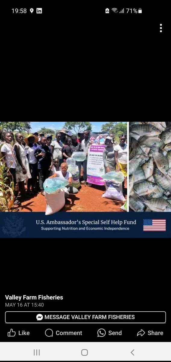 Farming as Business.  Women economic empowerment. Meet the new farmers.
#SustainableFarming 
#SustainableSolutions
#SkillsAreEssential