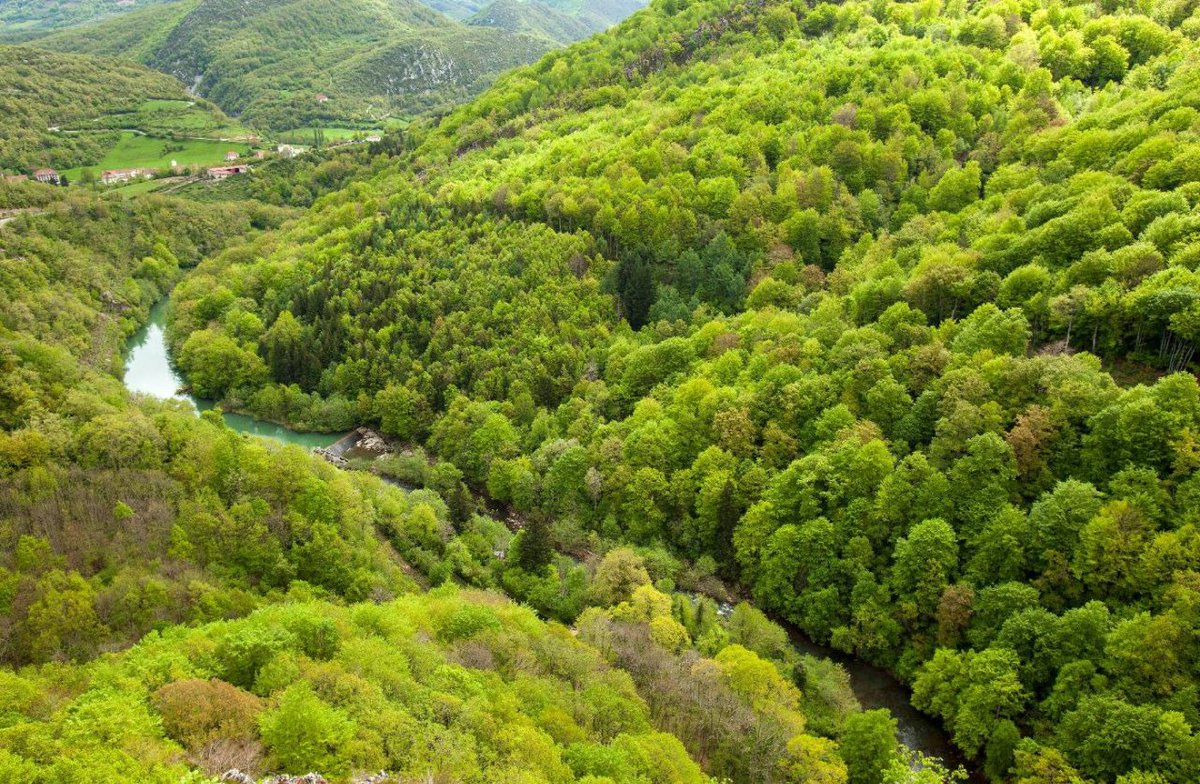 Visit Navarra tweet media