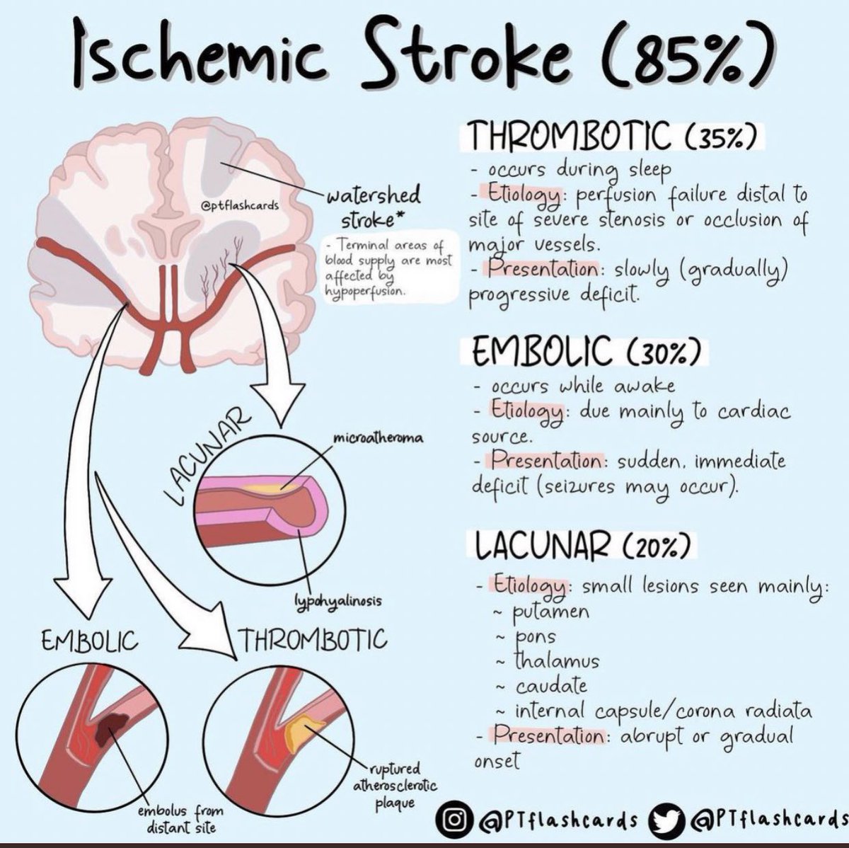 Medical_MD1's tweet photo. Haemorrhagic vs Ischemic Stroke 🧠✨

. https://t.co/NGXJX3Nydd
