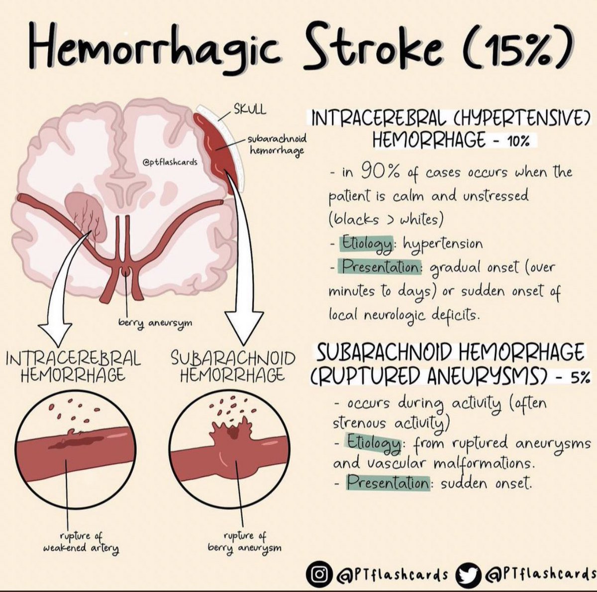 Medical_MD1's tweet photo. Haemorrhagic vs Ischemic Stroke 🧠✨

. https://t.co/NGXJX3Nydd