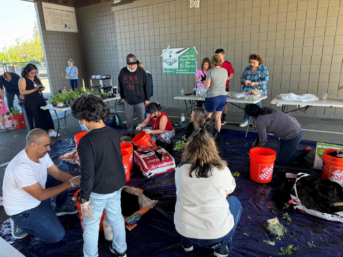 Escuela Primaria | Emerson | Elementary School (@emersonfalcons) on Twitter photo Thank you Terry for volunteering from Down to Earth Community Gardens for your knowledge and expertise! ¡Gracias Terry por ser voluntaria de Down to Earth Community Gardens por tu conocimiento y experiencia! #EPS_OURCOMMUNITYROCKS #EPS_OURVOLUNTEERSROCK Thank you Terry for volunteering from Down to Earth Community Gardens for your knowledge and expertise! ¡Gracias Terry por ser voluntaria de Down to Earth Community Gardens por tu conocimiento y experiencia! #EPS_OURCOMMUNITYROCKS #EPS_OURVOLUNTEERSROCK