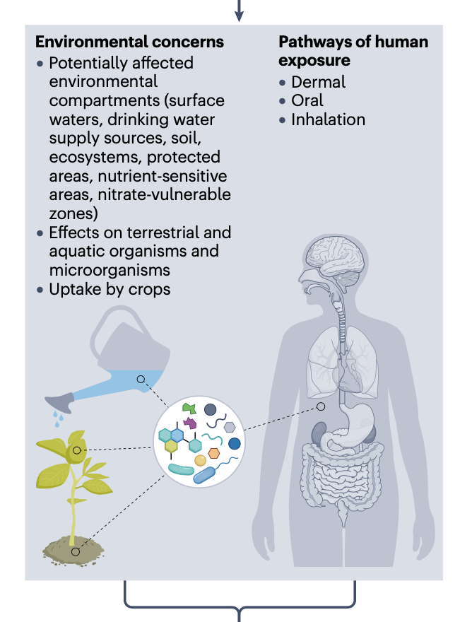 Despo Fatta-Kassinos tweet media
