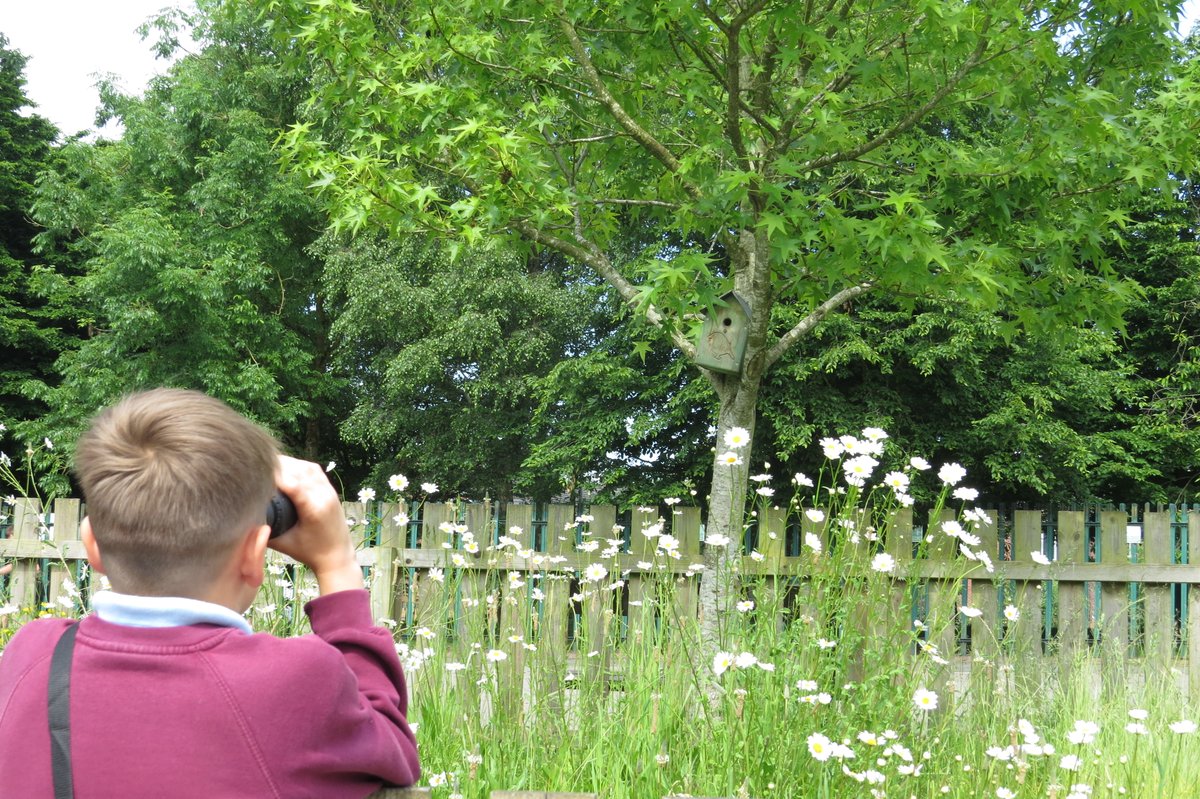 HM Wildlife tweet media
