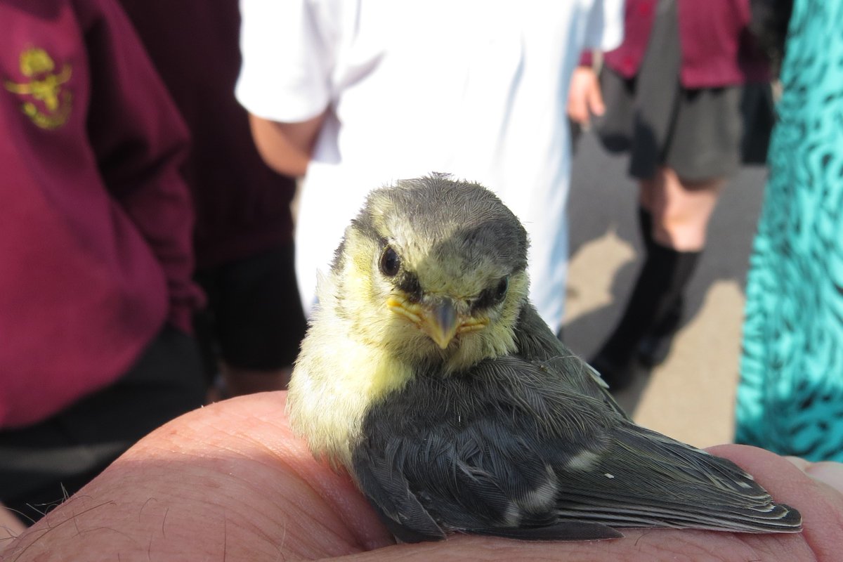 HM Wildlife tweet media