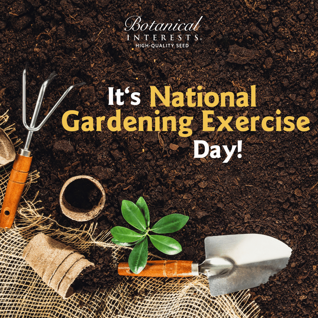 Botanical Interests 🌻 tweet media