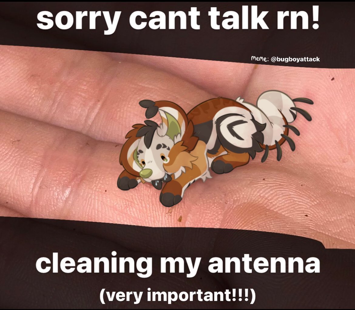 haloight's tweet photo. he’s busy‼️
#furrymemes #furryart https://t.co/93uVx3RmeH
