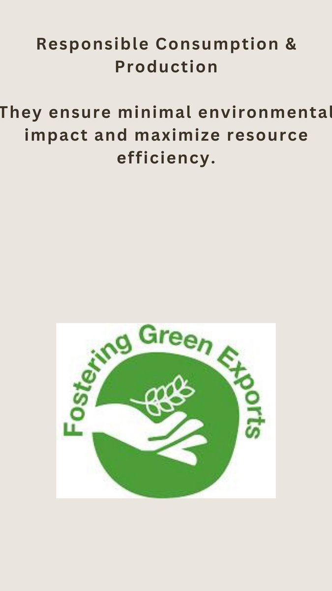 adseysnest's tweet photo. 2️⃣ #SDG12: Responsible Consumption &amp; Production They ensure minimal environmental impact and maximize resource efficiency. 🌿🔄 https://t.co/D0hsNFnb5e