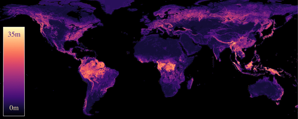 Our paper "Estimating Canopy Height at Scale" has been accepted to #ICML24, where we significantly advance global canopy height mapping.

w/ <a href="/maxzimmerberlin/">Max Zimmer</a>, U. Kelly, M. Schwartz, S. Saatchi, <a href="/ciais_philippe/">Philippe.ciais</a> , <a href="/spokutta/">Sebastian Pokutta</a> , <a href="/matin_brandt/">Martin Brandt</a>, F. Gieseke
arxiv.org/abs/2406.01076
🧵 1/5