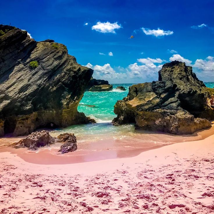 PassportLifeGO's tweet photo. The Pink Sand Beaches of Barbuda: Escape to a paradise where the sand shimmers with a pink hue. Barbuda, an island in the Caribbean, boasts some of the world's most unique beaches. Relax on the shore, swim in crystal-clear  waters, and discover a slice of Caribbean tranquility 🇦🇬 https://t.co/5uOjrlQMfb