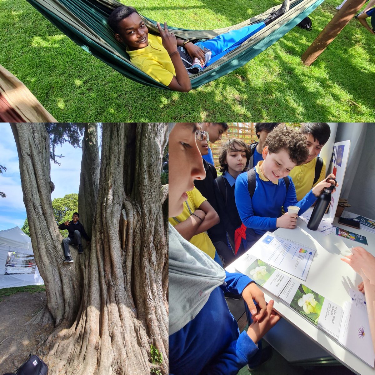 NDMNS's tweet photo. 6th Gorm+some 6th Óir students had a great day @BordBiaBloom in the Phoenix Park. Thanks to @AgriAware for a great talk on agriculture. We saw cows, sheep, bees, planted seeds, had fun with our friends&amp; saw great show gardens all whilst having an ice-cream + enjoying the😊🙌 https://t.co/0Eh0dCmU1k