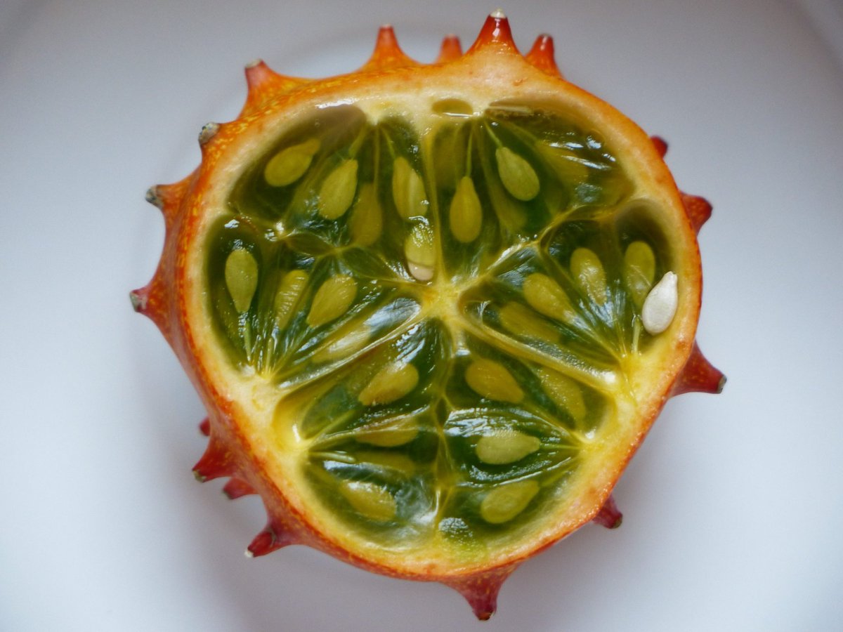 theoffingmag's tweet photo. "I rummaged through the browned fruit in my fridge, retrieving an unused bunch of green onion stalks. He always liked a good garnish. All I had to do was cut off the rotten ends."

Read "Fruition" by Justine Teu

https://t.co/tfpivaIJRn https://t.co/uCvf8a7FCs