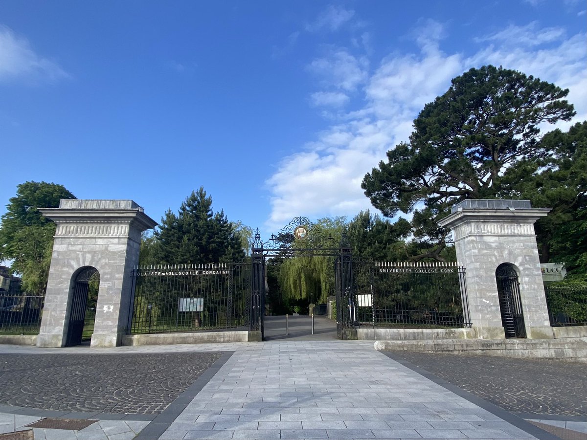 Fraser Robertson tweet media