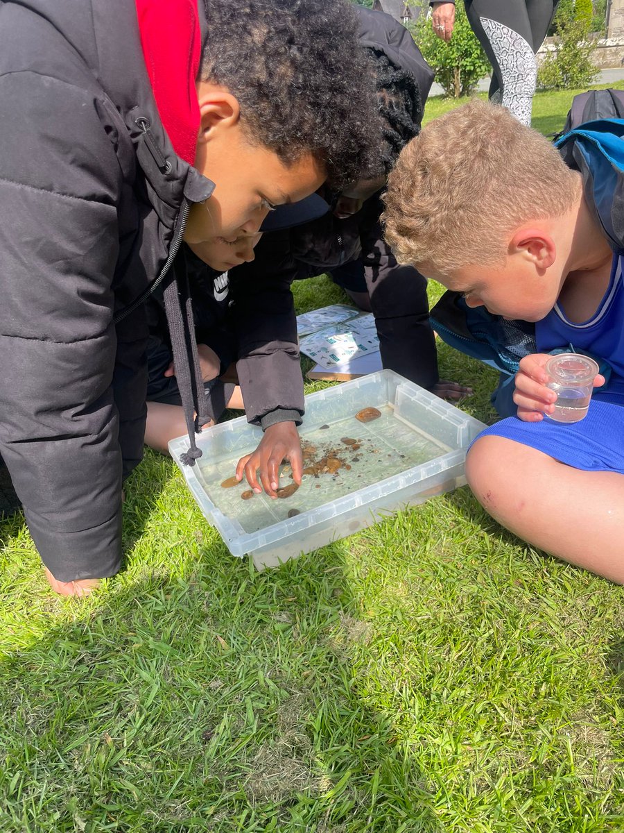 stabletchley's tweet photo. 6D Ilam Hall update: today, 6D went river dipping and found lots of minibeasts! They also did some tree rubbings and enjoyed their last full day together while away. https://t.co/ftvAsZiuXB
