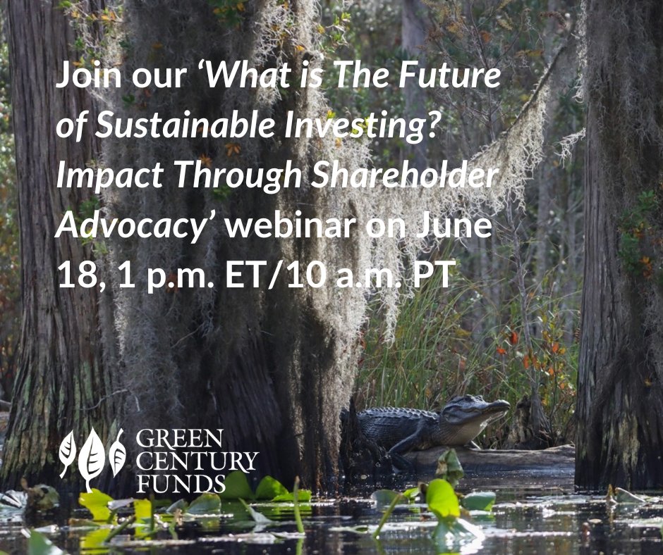 Join us on  June 18 at 1 p.m. ET for a What is The Future of Sustainable Investing? Impact Through Shareholder Advocacy webinar to dive deep into how shareholder advocacy is helping to protect the Okefenokee.

Register for the webinar: greencentury.com/impactthroughs…