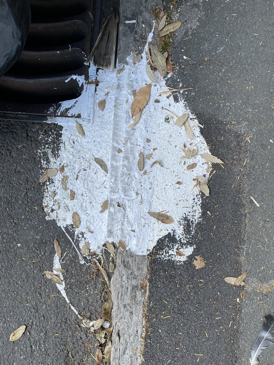 Nick Ivins tweet media