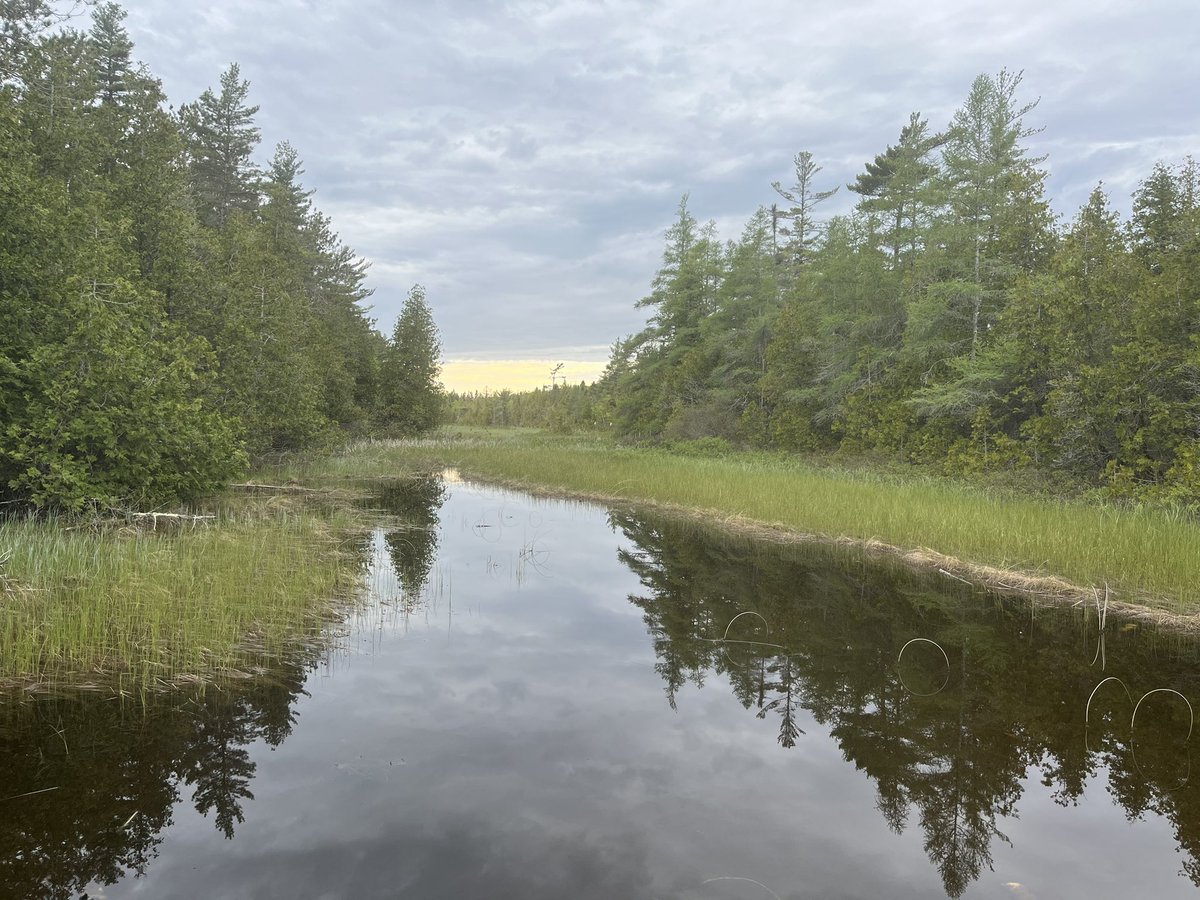 Loheide Hydroeco Lab tweet media