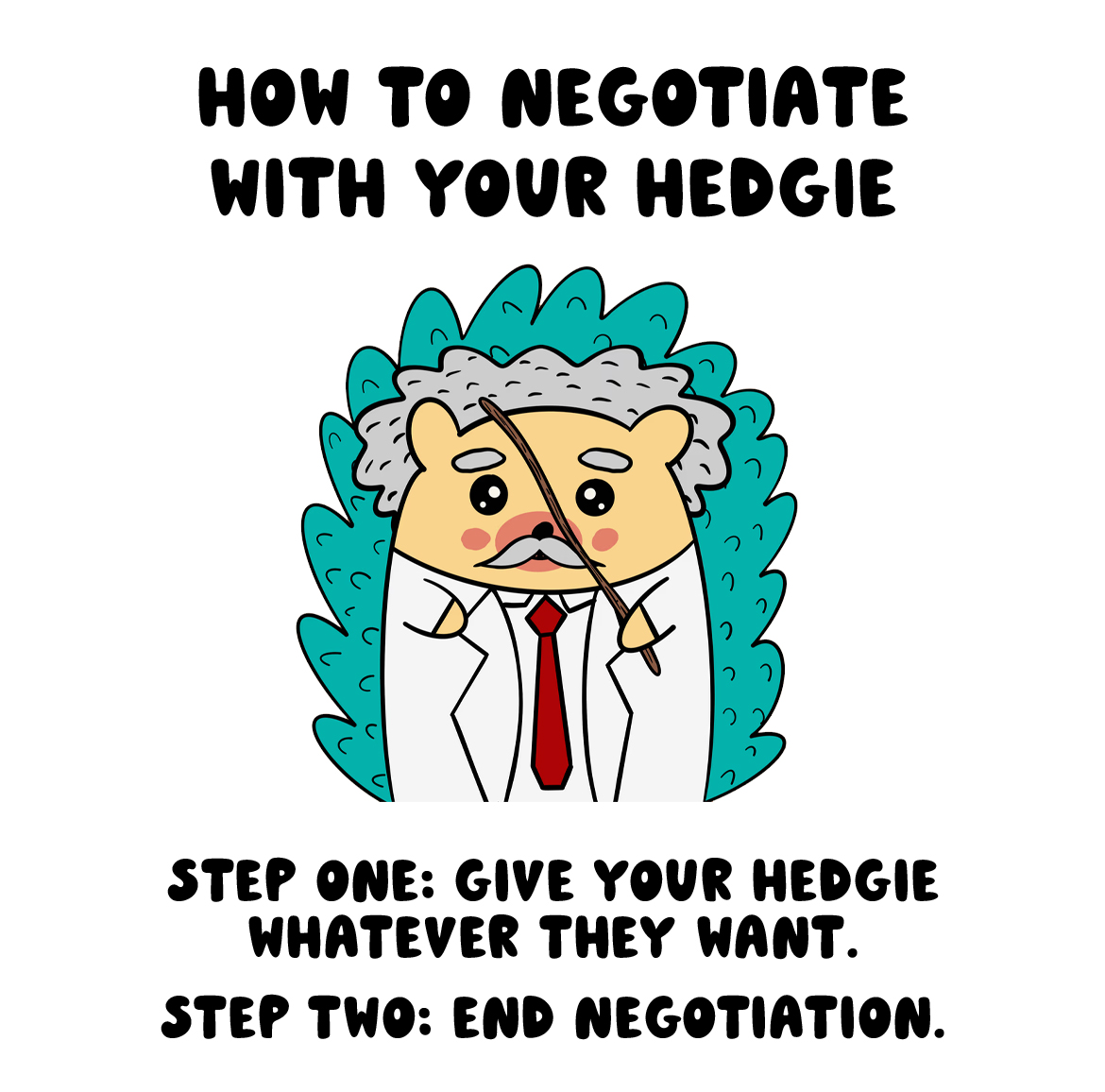Fluffy Hedgehogs 🦔 tweet media