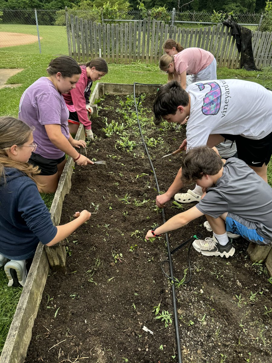 Stephen Parsons (@mrparsons_hms) on Twitter photo <a href="/HMSAgriscience/">HMS Agriscience</a> hard at work with planting! 🥒🌶️🫛 Can’t wait for this Spring’s yield. <a href="/Hereford_MS/">Hereford MS</a> <a href="/CTE_BaltCoPS/">BCPS CTE Office</a> #WeBelong 🐂 <a href="/HMSAgriscience/">HMS Agriscience</a> hard at work with planting! 🥒🌶️🫛 Can’t wait for this Spring’s yield. <a href="/Hereford_MS/">Hereford MS</a> <a href="/CTE_BaltCoPS/">BCPS CTE Office</a> #WeBelong 🐂