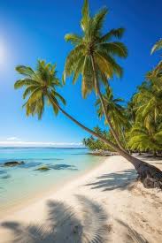 sifah_moh's tweet photo. @HKurusee @MMuizzu 🌴އިންދާ ކޮންމެ ގަހަކީ ވެސް ރާއްޖެއަށް ފެހި އަދި ދެމެހެއްޓެނިވި މުސްތަގުބަލަކަށް އެހީތެރިވެދޭ ގަހެކެވެ.

🌴ގަސްހަކީ ޖައްވު ފިނި ހޫނުމިން ހިފަހައްޓައިދޭ އެއްޗެކެވެ. 

🌴ގަސް ގިނަވުމުން ދުނިޔެ ހޫނުވުން ވެސް ކުޑަކޮށްދެ އެވެ
Thank you. @HussainFahmy09
#maldives 
#MaldivesFirst https://t.co/iBvuMPy6NV