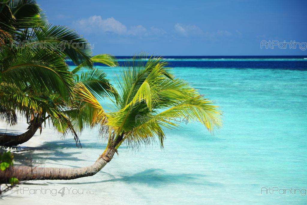 sifah_moh's tweet photo. @HKurusee @MMuizzu 🌴އިންދާ ކޮންމެ ގަހަކީ ވެސް ރާއްޖެއަށް ފެހި އަދި ދެމެހެއްޓެނިވި މުސްތަގުބަލަކަށް އެހީތެރިވެދޭ ގަހެކެވެ.

🌴ގަސްހަކީ ޖައްވު ފިނި ހޫނުމިން ހިފަހައްޓައިދޭ އެއްޗެކެވެ. 

🌴ގަސް ގިނަވުމުން ދުނިޔެ ހޫނުވުން ވެސް ކުޑަކޮށްދެ އެވެ
Thank you. @HussainFahmy09
#maldives 
#MaldivesFirst https://t.co/iBvuMPy6NV