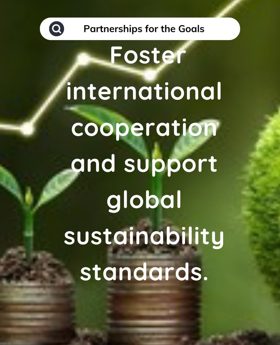 adseysnest's tweet photo. 5️⃣ #SDG17: Partnerships for the Goals They foster international cooperation and support global sustainability standards. 🤝🌐 https://t.co/BmWVc37dUg