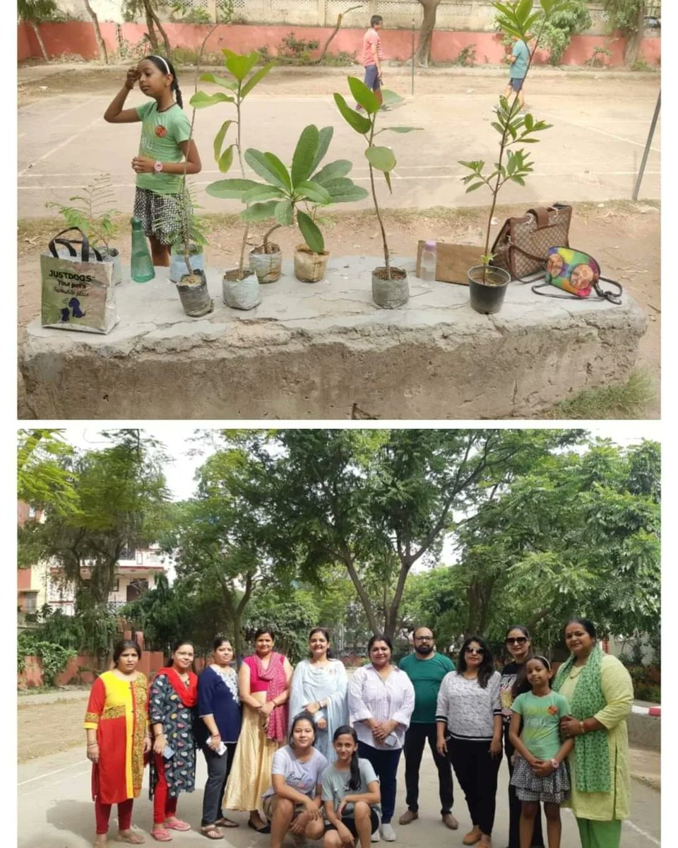 india_iap's tweet photo. On World Environment Day, IAPWC Ghaziabad District organized tree plantation drive in the locale of Vaishali, Ghaziabad. Local residents actively participated by generously contributed their time to plant a diverse array of trees. https://t.co/PRd1BjH16A