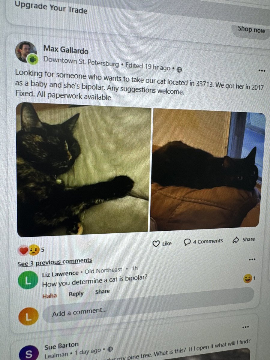 LWood_s's tweet photo. How do you determine a cat is bipolar? Asking for a neighbor on @bestofnextdoor https://t.co/0RAEAoZOVa