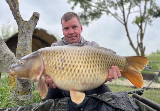 Danny stockwell tweet media