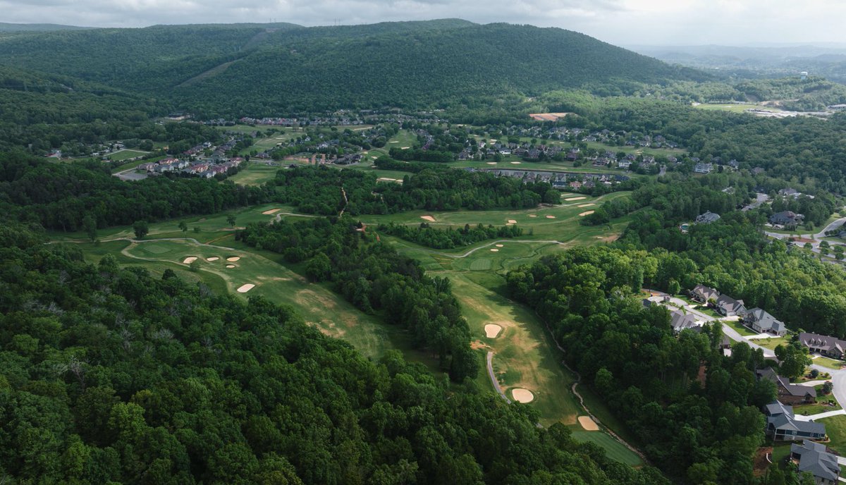 Fried Egg Golf tweet media