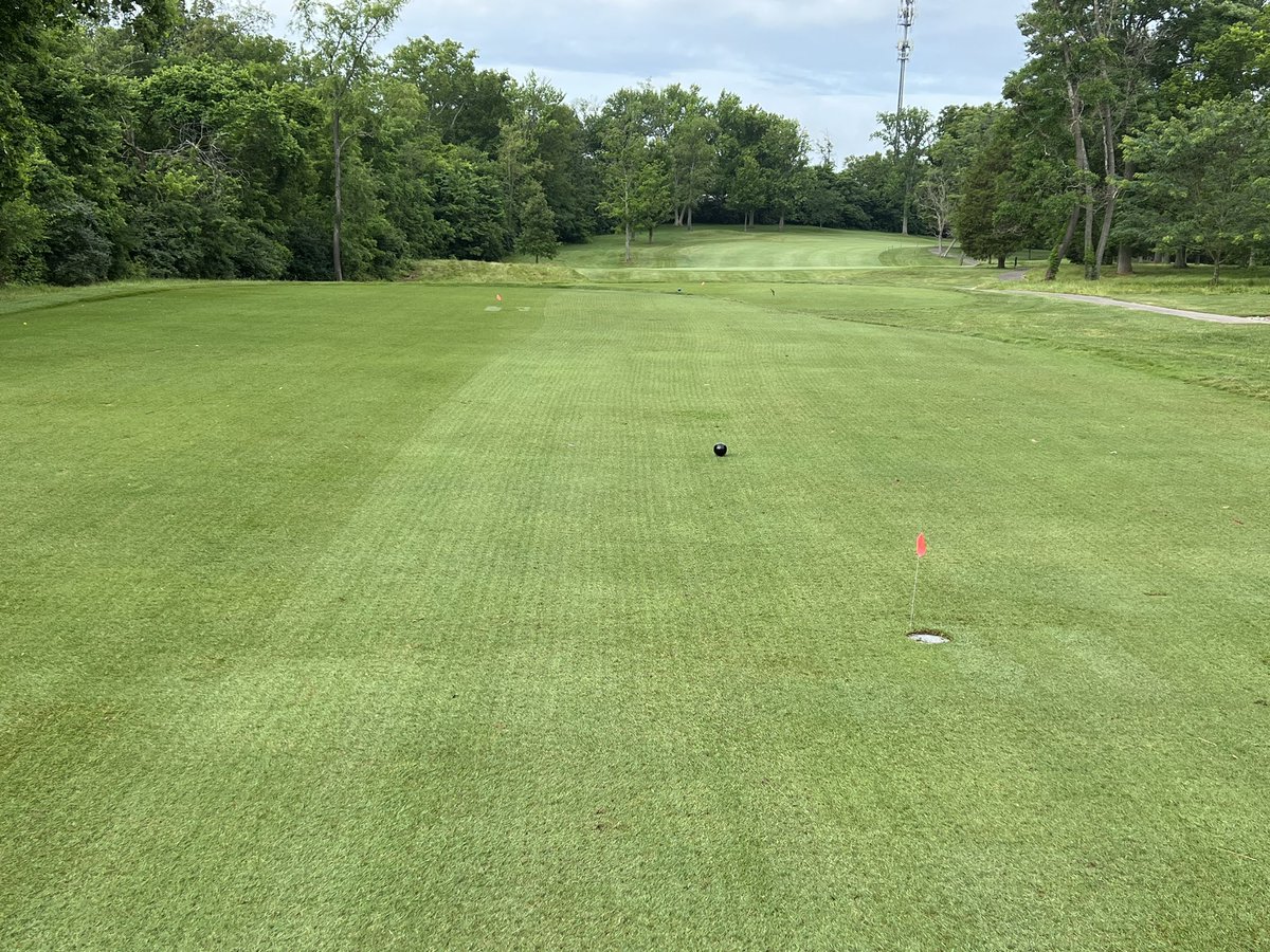 eric_estridge's tweet photo. Vented tees this week and approaches will soon follow. We have already received 1.5” of rain in June and May totaled 6.25” of rain. 
#gcga
#gcgcsa
#cincysupers https://t.co/l3bjTmEJ1V