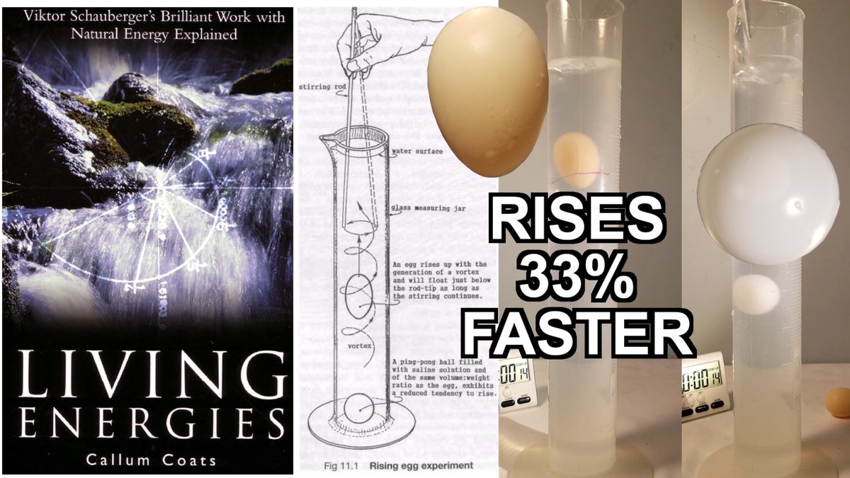 MathEasySolns's tweet photo. 🔬#MESExperiments 38: Replicating Viktor Schauberger's Rising Egg Experiment https://t.co/c5CDI2Zsad

In this experiment I show that stirring a column of water causes an egg to rise 33% faster and fall 25% slower than a ping pong ball, thus confirming Viktor Schauberger's rising egg experiment. 

#science #education #physics #water