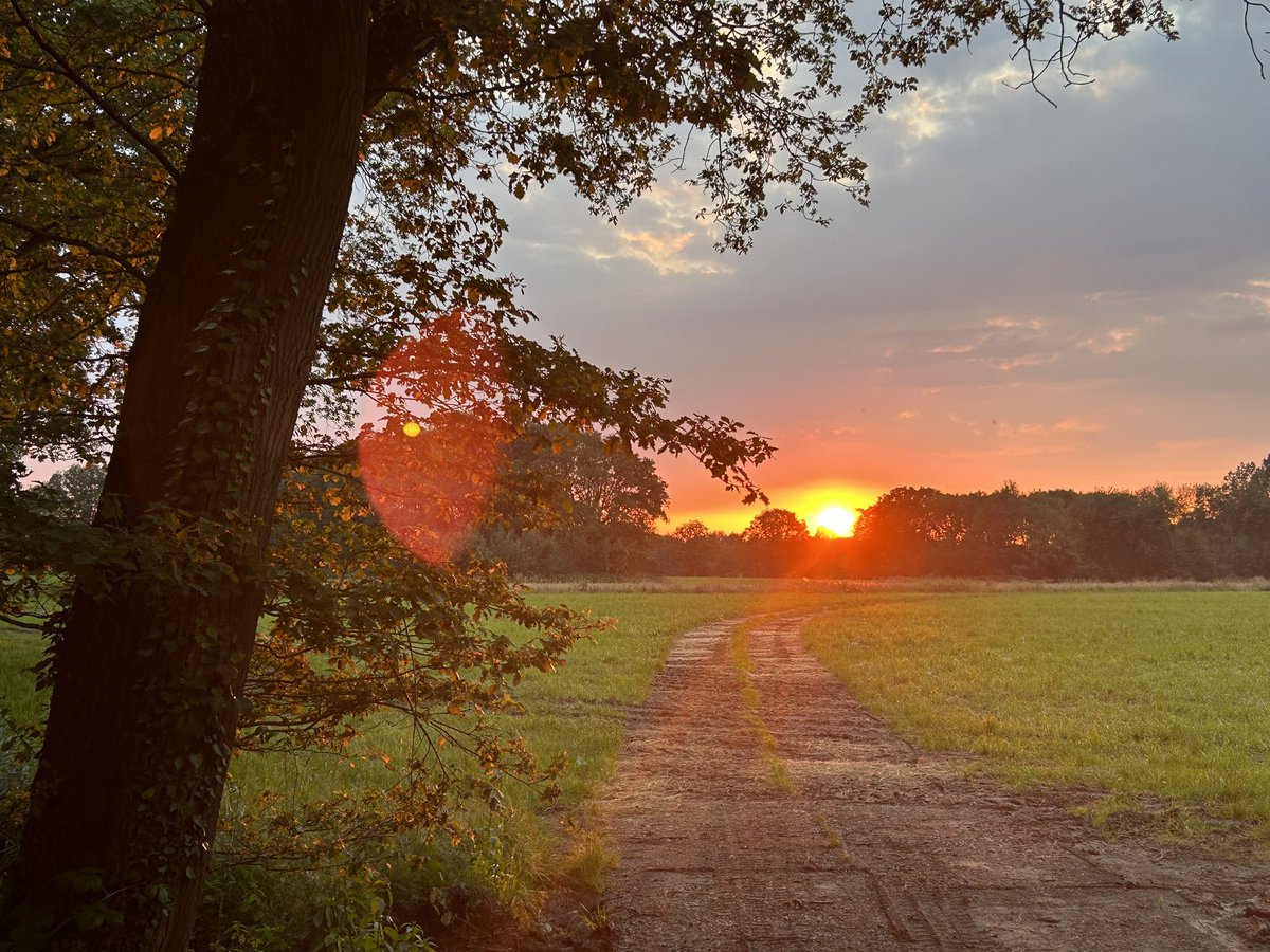 MightyMinter 🐳 tweet media