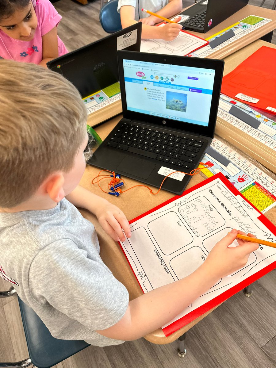 MsKFoley's tweet photo. These 2nd graders in training are becoming animal experts for our last writing unit of 1st grade! 🐯🐡🐬🐢 @CBS_Bethpage https://t.co/xW6BOWf5Kg