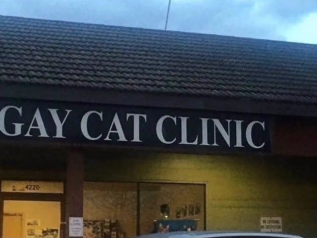 ⠀
⠀
⠀ ⠀⠀ ⠀no one tell husk but ... it's time for him to go to the V . E . T to get his S . H . O . T . S .