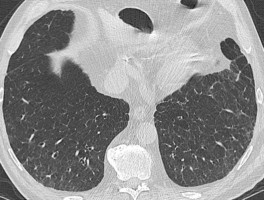 Dra. Cecilia Ferrario tweet media