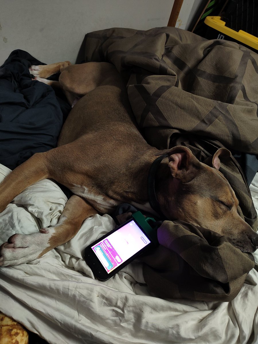 invrsROBINHOOD's tweet image. Oh... We're collecting some $SWEAT tokens.

What are some other good #walktoearn apps?