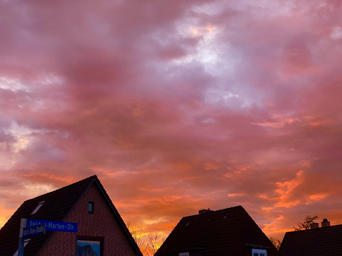 edita hangonyiova tweet media