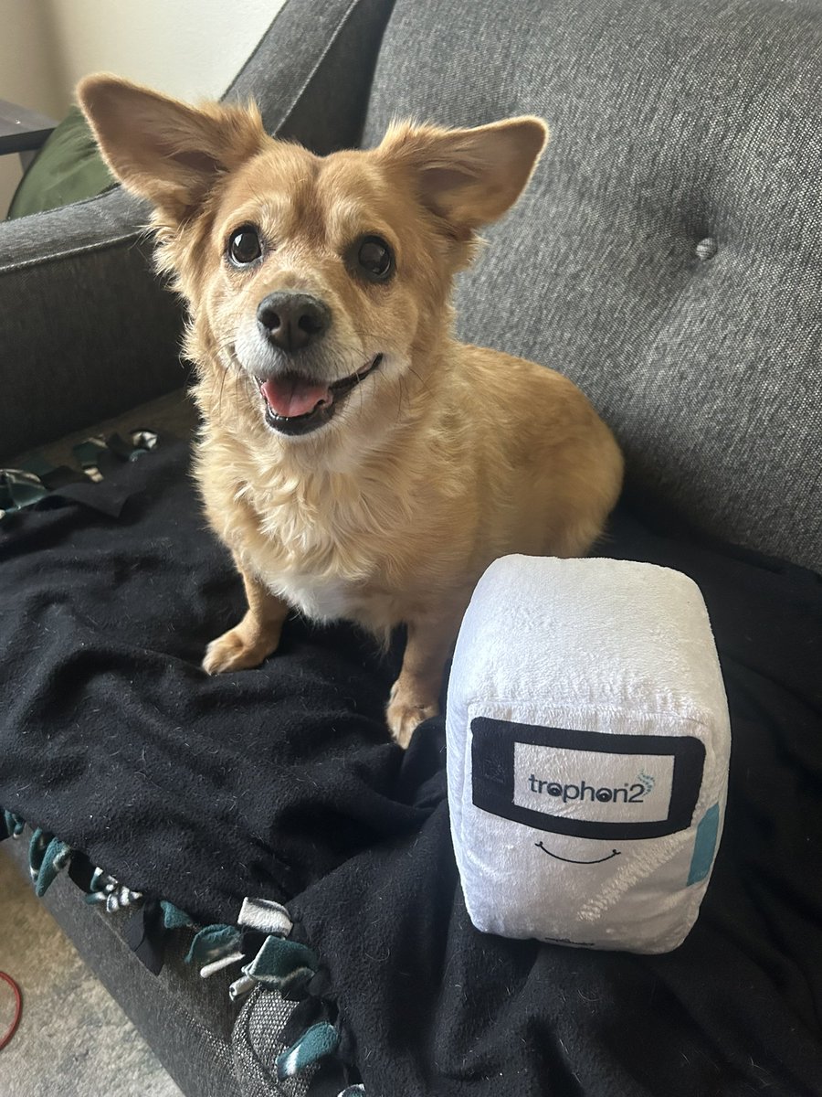 Sarah Milligan Emery tweet media