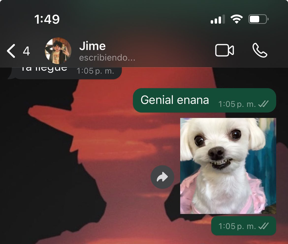 Yo diciéndole a mi sobrina que mide casi 1.70 enana cuando mi tamaño es 1.50m 😂