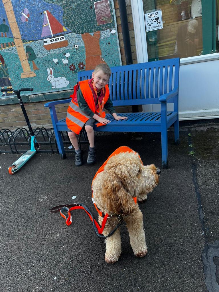 St Mikes Dog Mentor tweet media