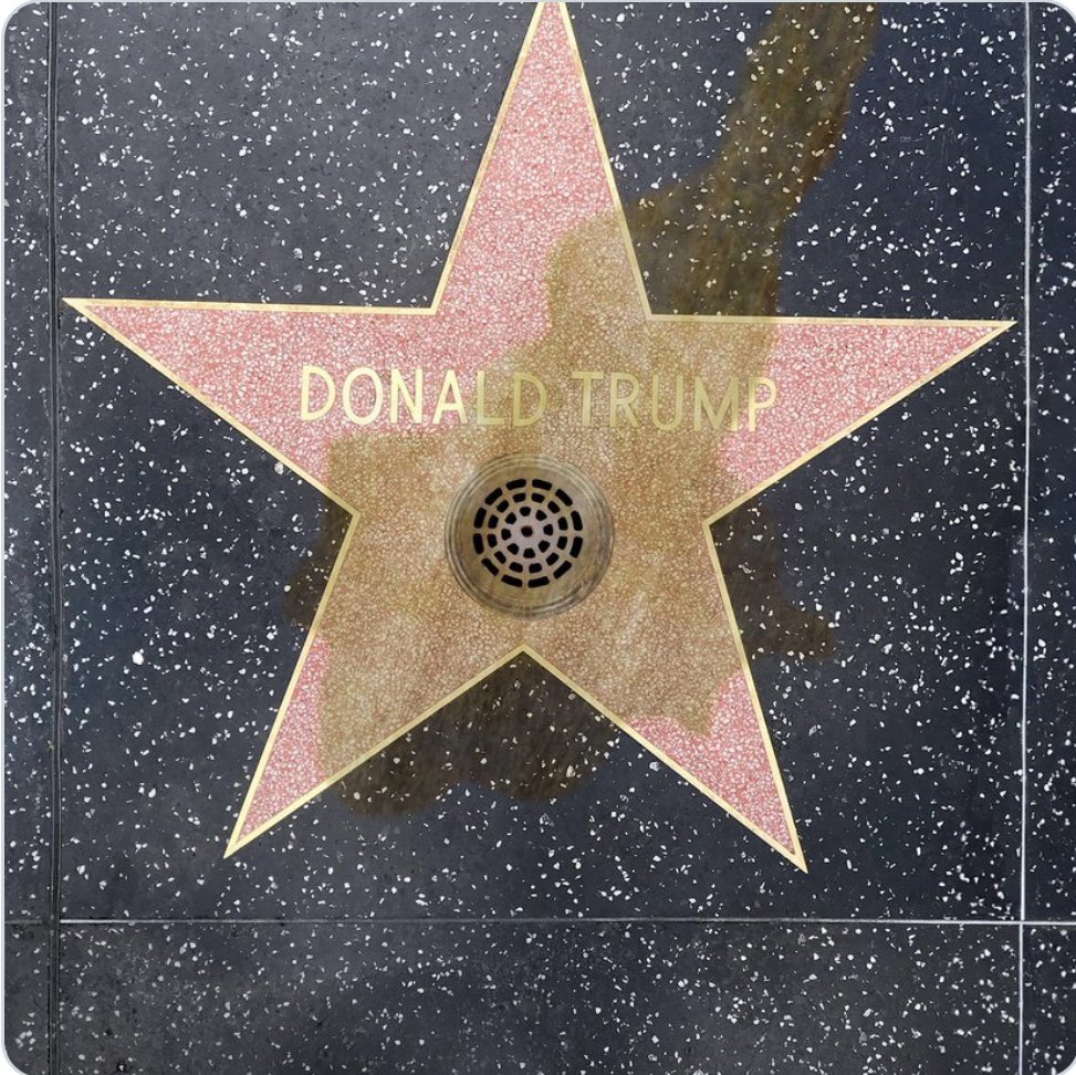 RadarResist's tweet photo. TFGโs Hollywood Walk of Fame star had a drain installed due to ppl repeatedly urinating on it.
They say the stench is awful and smells just like TFG!
#TrumpStillSmells https://t.co/zxx2oMA1eb