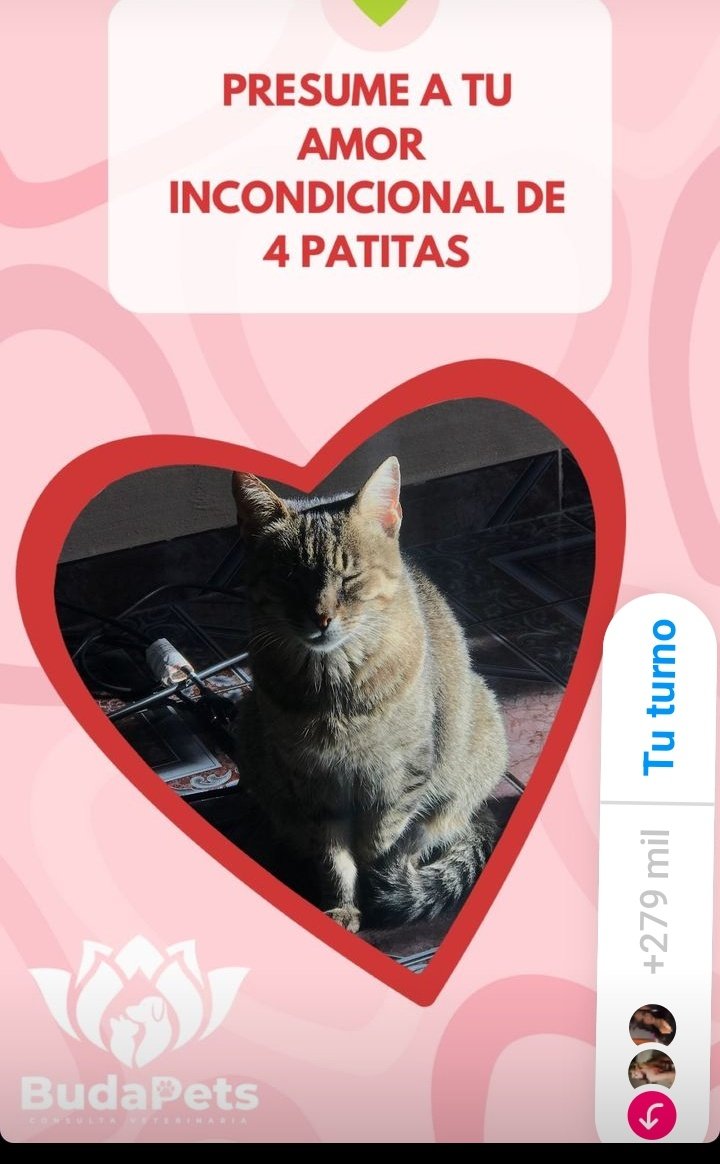 Harta de tocar sin querer esas mierdas