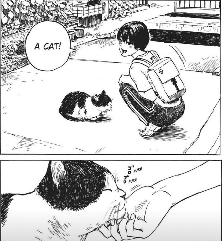 Punch Cat tweet media