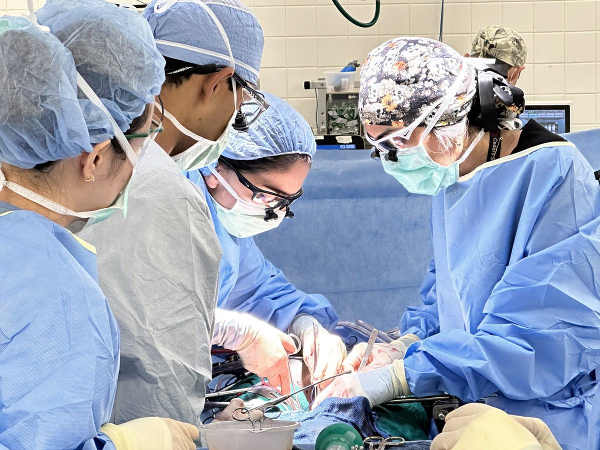 Lili Sadri, MD tweet media