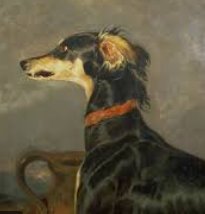 HEBBaker's tweet photo. Putting a few finishing touches to my #EdRes @_UoW presentation coming up on Saturday. I will be pondering reflexivity and how this can be creatively supported (there will be pictures of dogs). Looking forward to seeing how others' research is progressing also #52weeksofEdD https://t.co/cp49uHBVoH