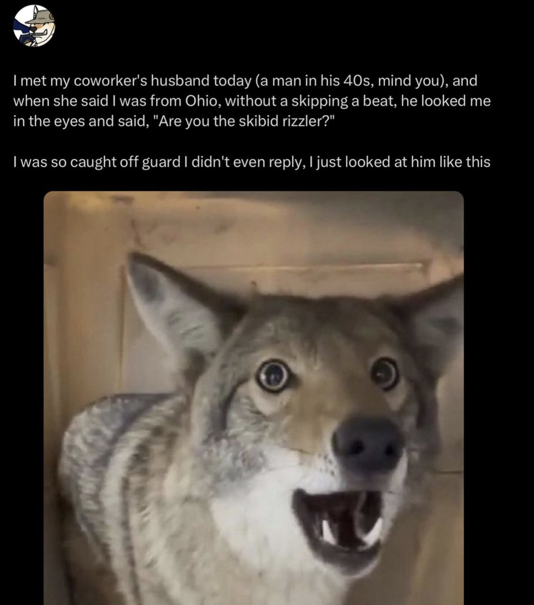 Unbiased Furry Struggles (@sanefurrystrug) on Twitter photo 