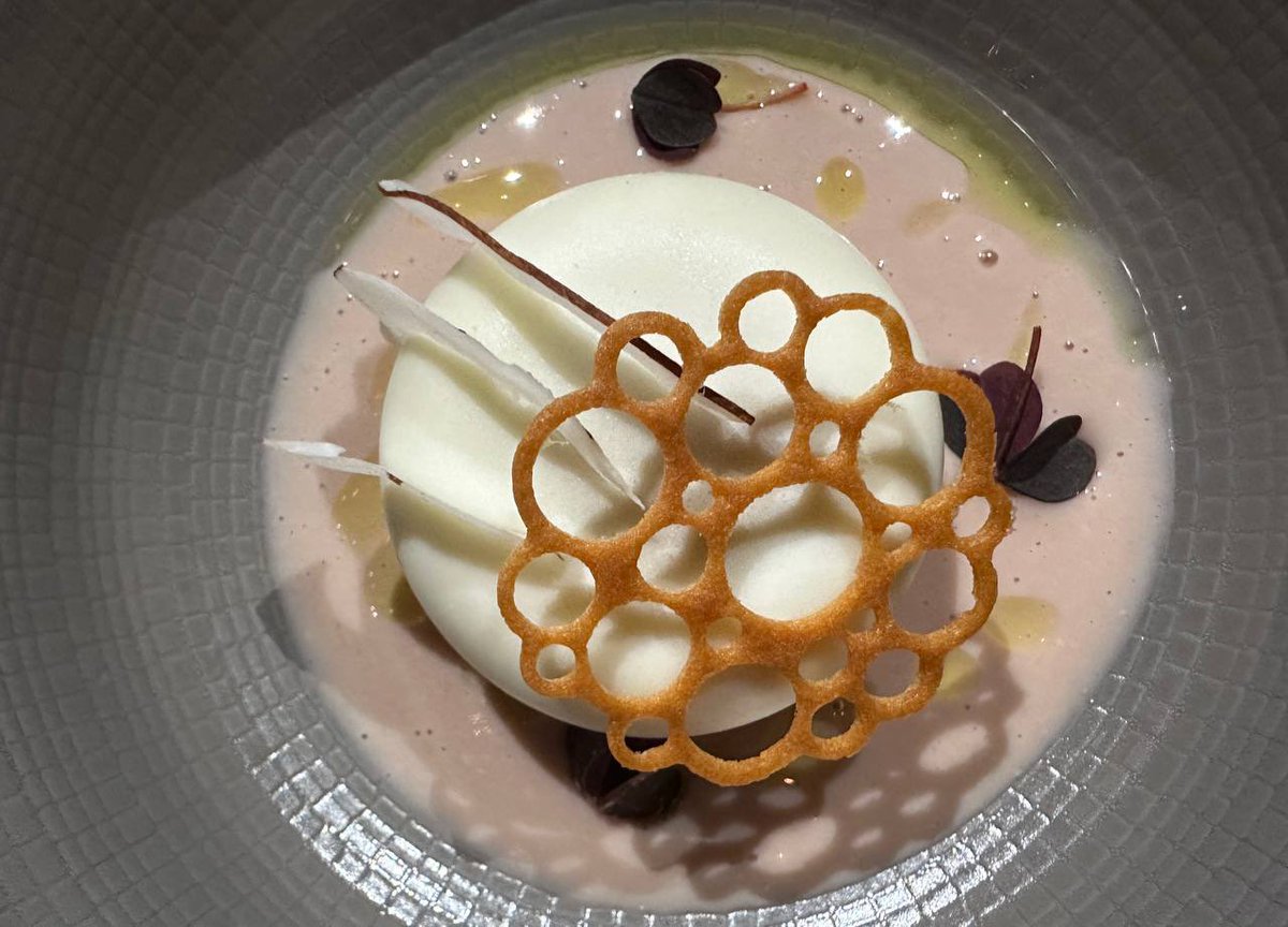 Food and Travel MX tweet media