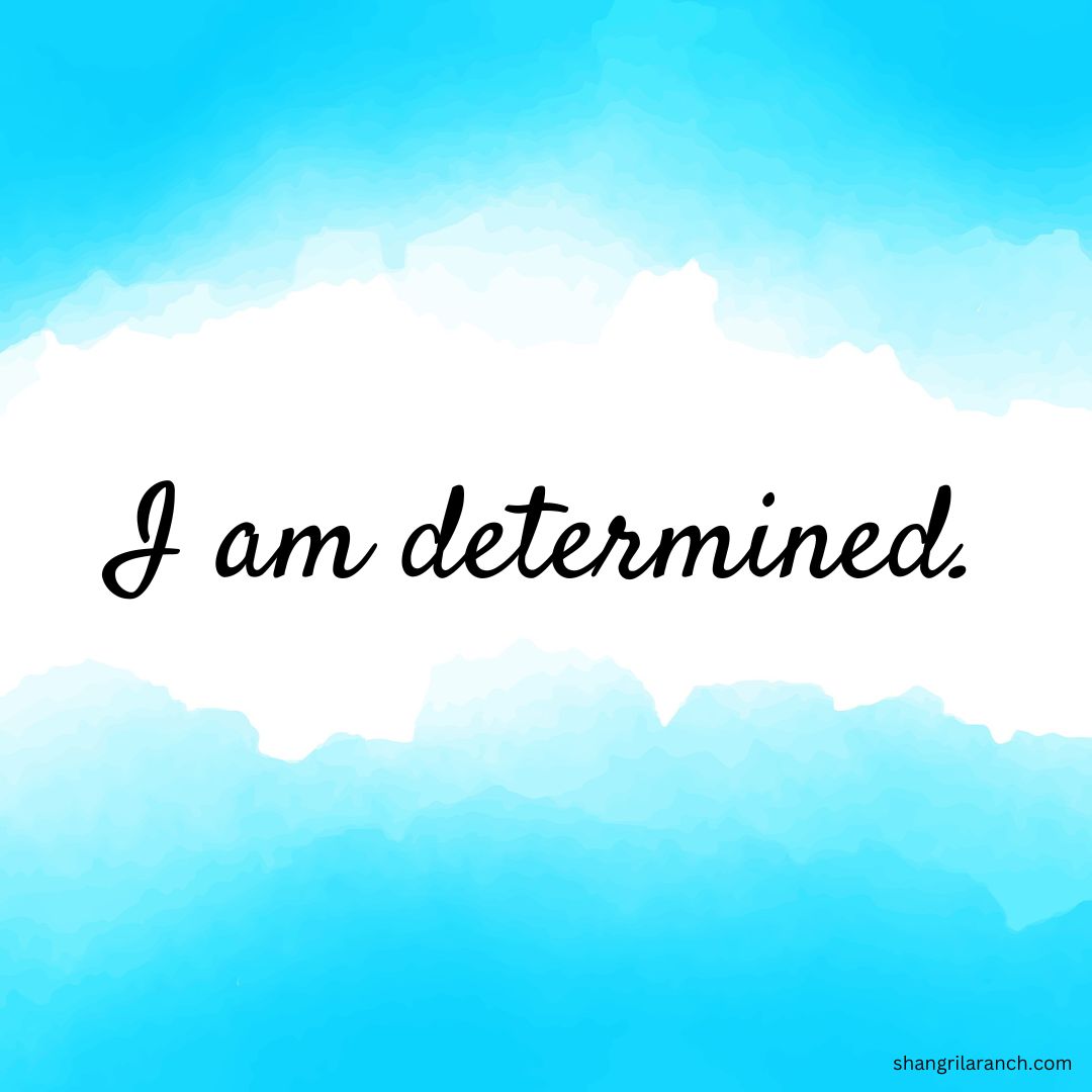 SLRNude's tweet photo. 🎯 With resolute determination, I am not just chasing my goals. I am transforming them into reality! #IAmDetermined https://t.co/jDtUoMBwUV https://t.co/l8e7wPLV9e