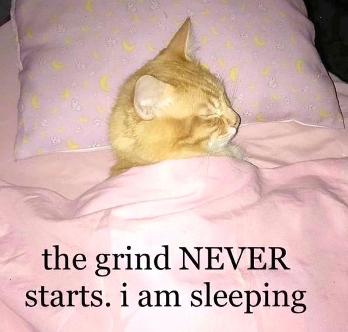WholesomeMemes tweet media