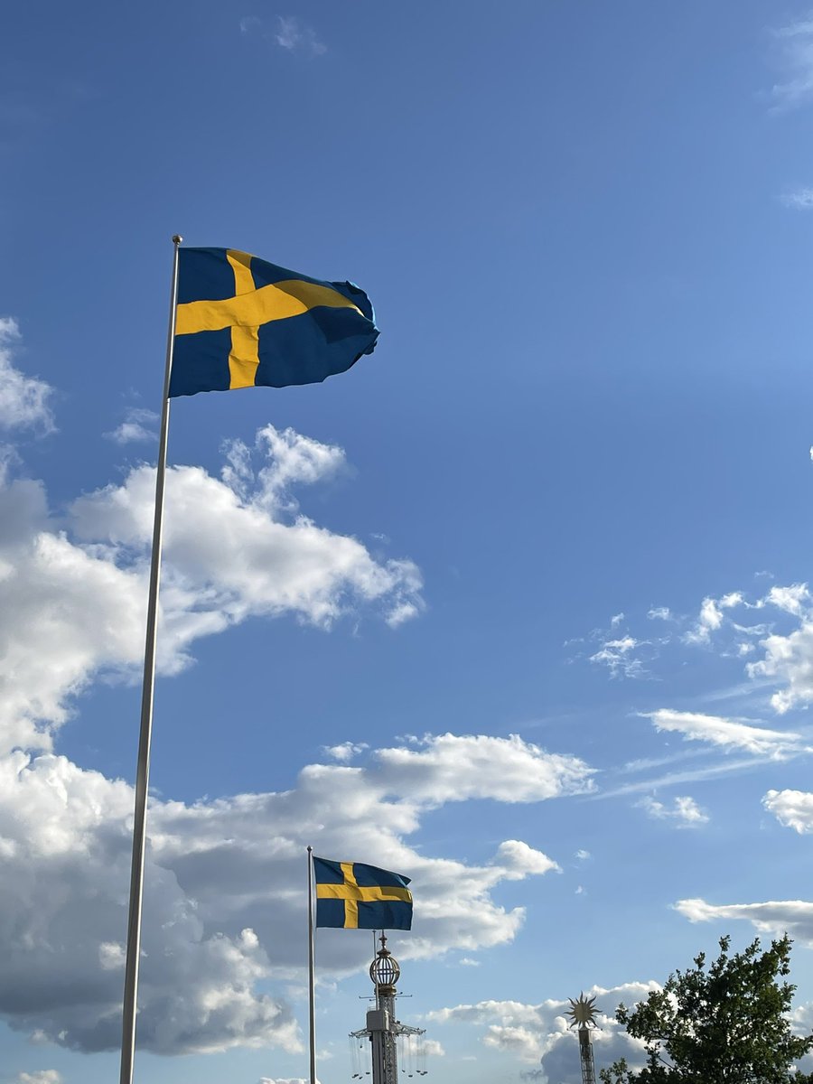 AlshahwanEnass's tweet photo. glad sveriges nationaldag
Happy National Day 🇸🇪 https://t.co/KYpXb82ZcM